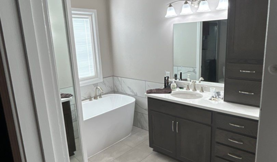 Professional Bathroom Remodel Picture